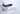 Cast Padding Undercast Specialist® 2 Inch X 4 Yard Cotton / Rayon NonSterile