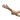 Encore Latex Micro Surgical Glove, Size 6.5, Brown, Case of 4 boxes (200 total), view 4