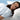 Apex® Blue Tissue / Poly Pillowcase, 21 x 30 Inch — Mfr # 48766