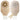 Premier™ Flextend™ 1-Piece Transparent Colostomy Pouch, Pre-cut to Fit 32 mm — Mfr # 8638