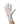 Positive Touch® Latex Exam Glove, Extra Large, Ivory — Mfr # 8844XL