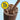 Glucerna Hunger Smart Shake, Chocolate Flavor, 10-ounce bottle, Case of 24, view 5