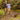 Brazos™ Natural Hardwood Root Cane, 40-Inch Height — Mfr # 502-3000-0139, view 5