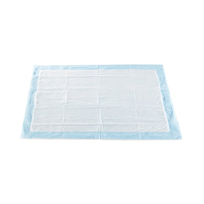 Disposable Underpad McKesson 23 X 36 Inch Polymer Moderate Absorbency